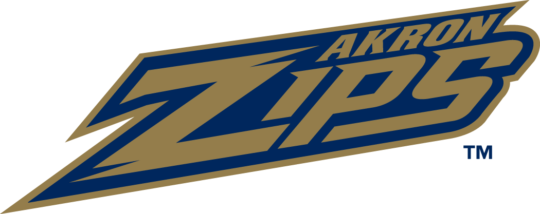 Akron Zips 2002-Pres Wordmark Logo diy fabric transfer